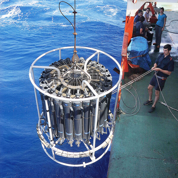 a large rosette sampler