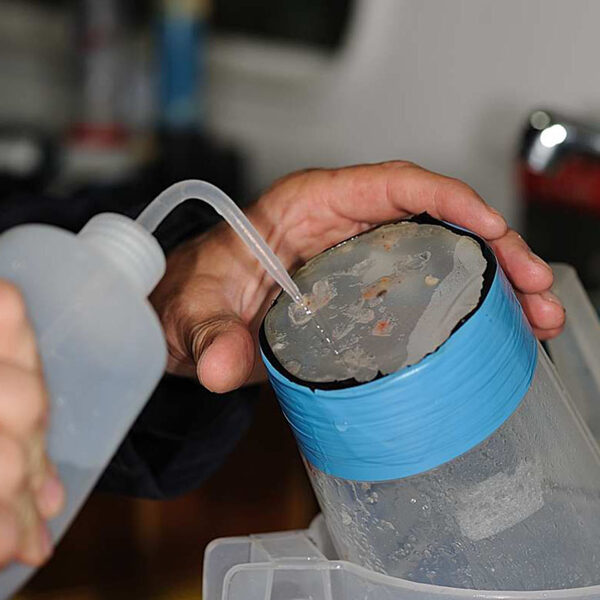 recogida de muestras de zooplancton